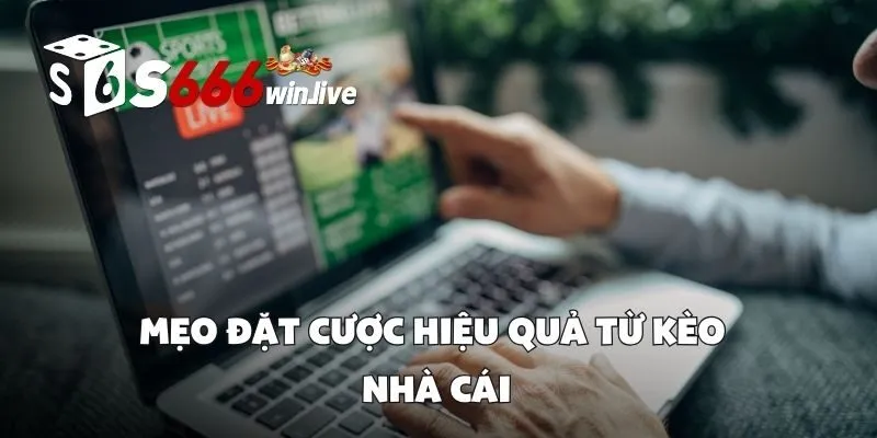 Mẹo Đặt Cược Hiệu Quả Từ Kèo Nhà Cái